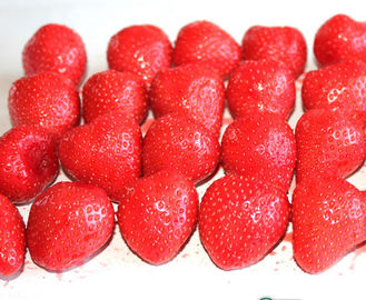 Buah Kalengan Organik Strawberry Secara Alami Manis Rasa 2 TAHUN Umur Simpan