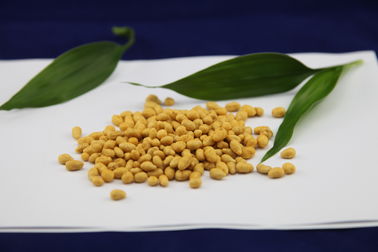 BRC Bersertifikat Sunflower Seeds Snack, Udang Rasa Hulled Sunflower Kernels
