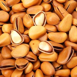 NON - GMO Raw Sprouted Nuts Crispy Taste, Raw Pine Nuts Dengan Sertifikasi BRC