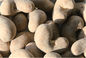 Kacang Kedelai Kacang Mete Beraroma Alami Yang Sehat Nutrisi Baik Untuk Penglihatan