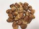 Asin Kacang Luas Makanan Ringan, Kacang Panggang Sehat Pedas Yang Dipanggang Tanpa Pigmen