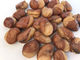 Kering Kacang Luas Camilan Crispy Wasabi Rasa Aman Bahan Baku Layanan OEM