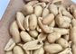 Kacang Goreng Asin Non-GMO Vegan Cemilan Alami Renyah Cemilan Sehat Lezat Nol Lemak Trans