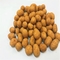 Kacang Panggang Cajun/Bawang Dilapisi dengan Sertifikasi Kosher/Halal/Haccp/Brc Makanan Ringan Kering Renyah dan Renyah