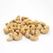 Tidak Ada Makanan Ringan Kacang Mete Panggang Asin Warna Dengan Sertifikasi HACCP / HALAL / BRC