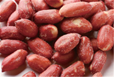 Kacang Bir Big Red Candy Coated Peanuts Kernel Berbagai Rasa HALAL Certifiaction
