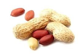 Kacang Kacang Hijau Yang Dimasak Kacang Renyah Bahan Baku Yang Aman Rasa Goreng Gratis Dari Penggorengan