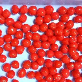 No Pigment Red Canned Cranberries Tidak Ditambahkan Gula Bahan Baku Sehat
