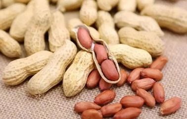 Bahan Asli Kacang Baku Kacang Tekstur Keras Rasa Renyah Bagus Untuk Perut