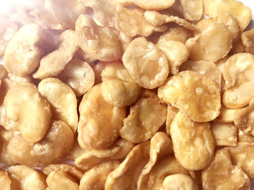 Rendah Lemak Goreng Fava Beans Makanan Ringan Penuh Nutrisi Sejuk / Kering Tempat Storaging
