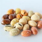 Renyah Warna-warni Campuran Panggang Dilapisi Kacang Kedelai Snack Rasa