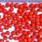 No Pigment Red Canned Cranberries Tidak Ditambahkan Gula Bahan Baku Sehat