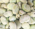Tanpa Pigment Frozen Beans Saus Kacang Penutup Bahan Baku Sehat Cita Rasa Yang Baik