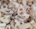 Fresh Lotus Root Organic Frozen Food Products TANPA Pengawet Yang Ditambahkan Untuk Dewasa
