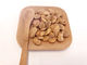 Bubuk Shell Dilapisi Kacang Camilan Kacang Fava, Kacang Kacang Fava Kacang Rasa Bawang Putih