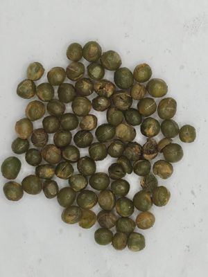 Kacang Kedelai Emas Hitam