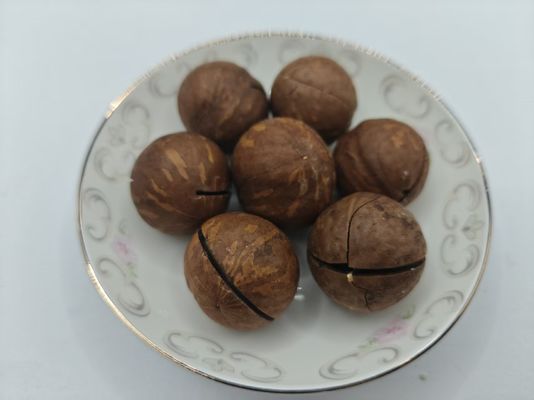 Kacang Macadamia Alami yang Lezat Dari Dalam Kantong Plastik