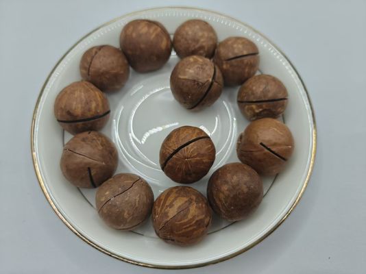 Kacang Macadamia Alami yang Lezat Dari Dalam Kantong Plastik