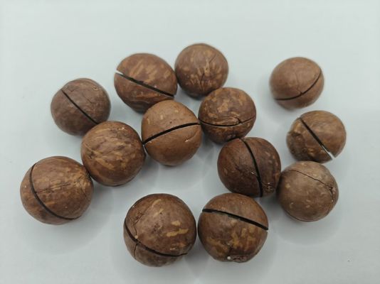 Kacang Macadamia Alami yang Lezat Dari Dalam Kantong Plastik