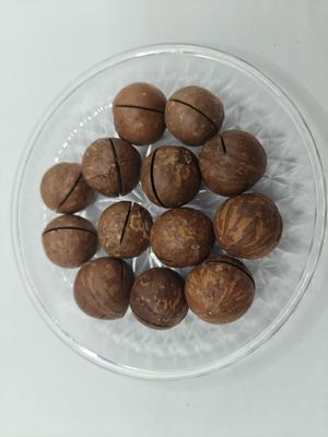 Kacang Macadamia Alami yang Lezat Dari Dalam Kantong Plastik
