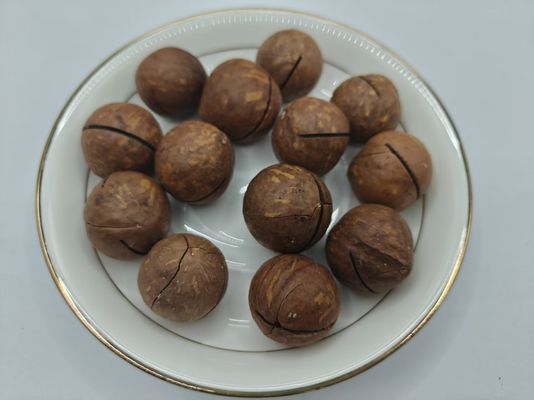 Kacang Macadamia Alami yang Lezat Dari Dalam Kantong Plastik