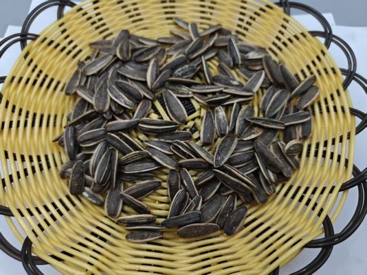 Biji Bunga Matahari Rasa Asli Garam Cuka