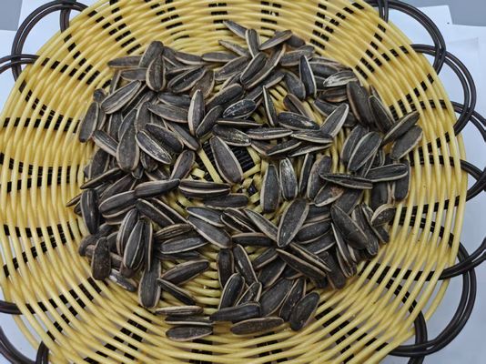 Biji Bunga Matahari Rasa Asli Garam Cuka