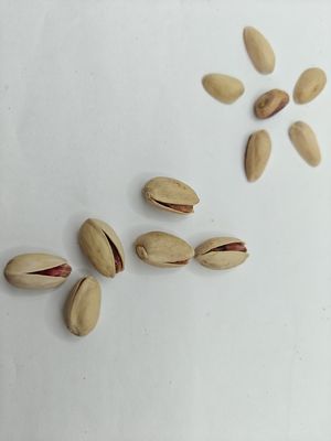 Menyenangkan Keinginan Pistachio garam panggang dalam cangkang sampel gratis
