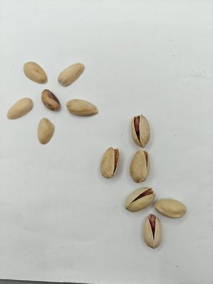Menyenangkan Keinginan Pistachio garam panggang dalam cangkang sampel gratis