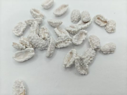 Kacang Tanah Berlapis Susu Protein Tinggi Kemasan Curah
