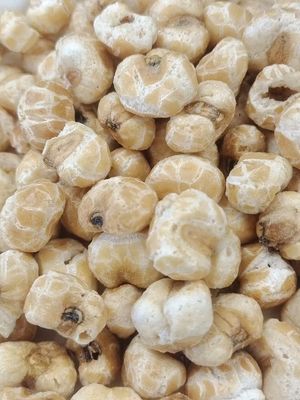 Camilan Jagung Panggang Renyah Lezat Alami Bebas Minyak