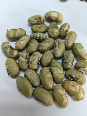 Tanggal Kadaluarsa 12 Bulan Camilan Kedelai Gaya Panggang Camilan Renyah Bergizi Pilihan Camilan Cocok Untuk Pembelian Grosir