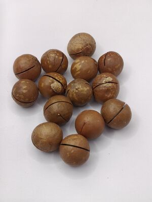 Kacang Macadamia Premium dengan Retakan yang Sudah Dibuka agar Mudah Dikupas - Kacang Panggang Krim dan Mentega