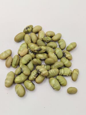 Sarapan Edamame Beras dengan Warna Alami, Tekstur Renyah, dan Rasa Kacang Murni