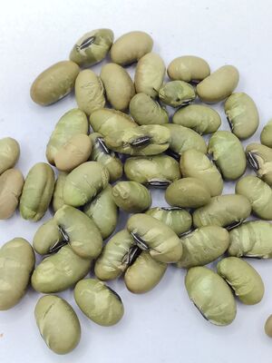 Sarapan Edamame Beras dengan Warna Alami, Tekstur Renyah, dan Rasa Kacang Murni