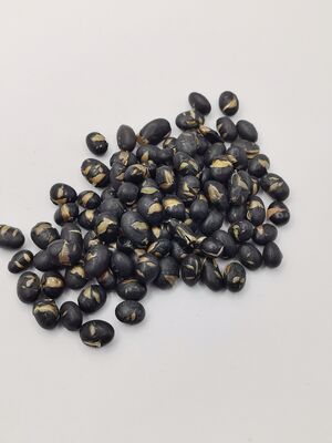 Krispy Savory Nutritious Salted Black Beans Panggang Kedelai Snack untuk Grosir