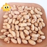 Kosher Halal Sertifikasi Lapisan Panggang Pedas Kuning Edamame Kepiting Kedelai Makanan ringan ISO Disetujui