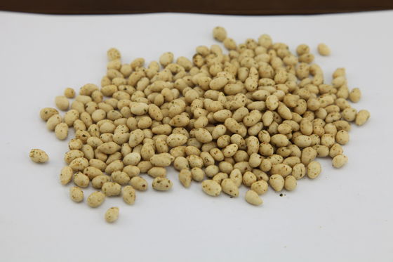 Camilan Biji Bunga Matahari Bersertifikat Halal, Biji Bunga Matahari Panggang Lezat