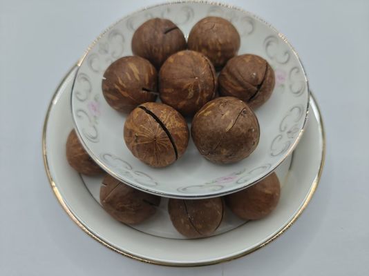 Kacang Macadamia