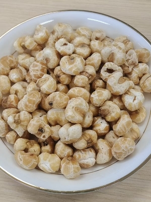 Camilan Jagung Panggang Renyah Lezat Alami Bebas Minyak