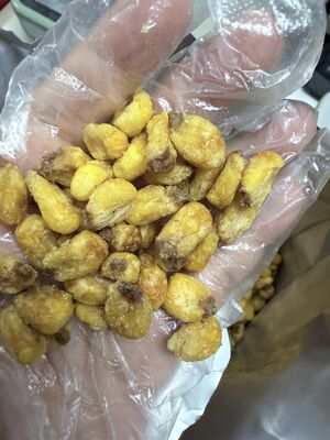 Camilan Jagung Kacang Panggang Beras Panjang Manis Alami Renyah