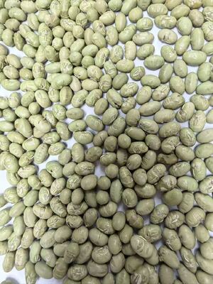 Tanggal kedaluwarsa 12 bulan Buah kedelai pembuka dengan tekstur renyah Cocok untuk industri makanan dan pilihan makanan ringan ritel
